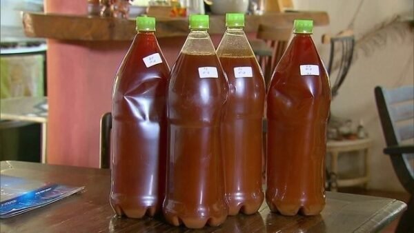 Ayahuasca Tea