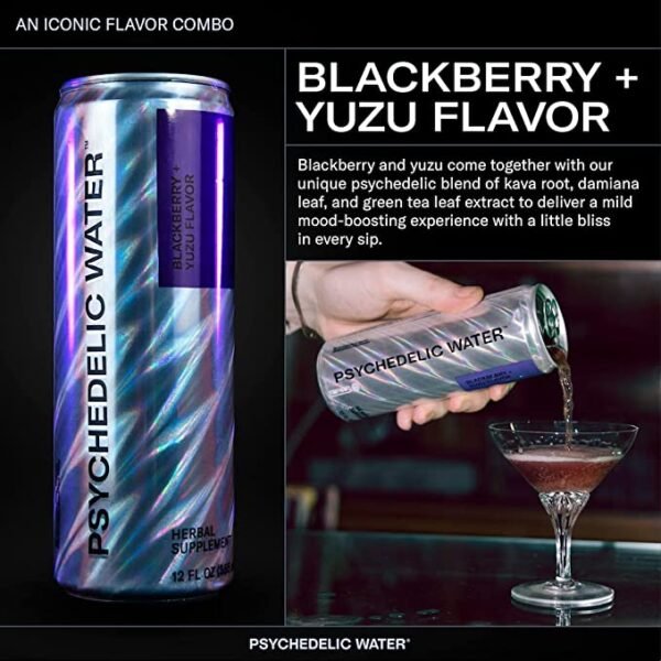 Blackberry + Yuzu 6 Pack