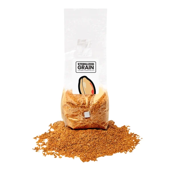 MUSHROOM GROW KIT IN-A-BAG™