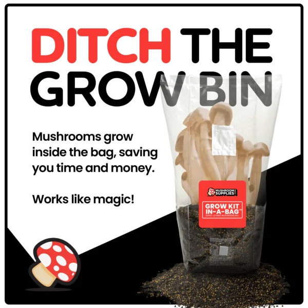 MUSHROOM GROW KIT IN-A-BAG™ - Image 2