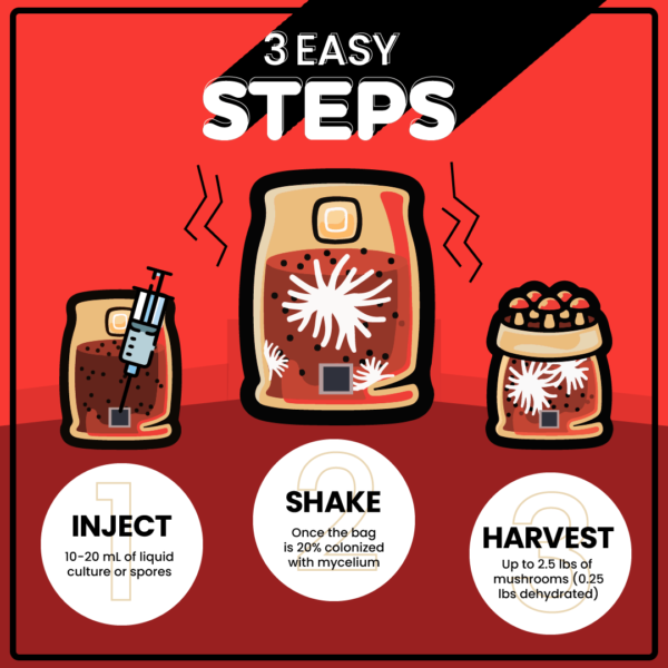 MUSHROOM GROW KIT IN-A-BAG™ - Image 3