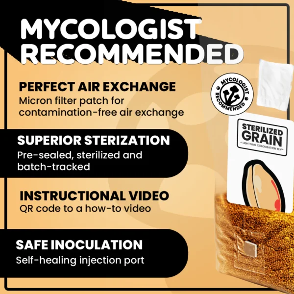 MUSHROOM GROW KIT IN-A-BAG™ - Image 3